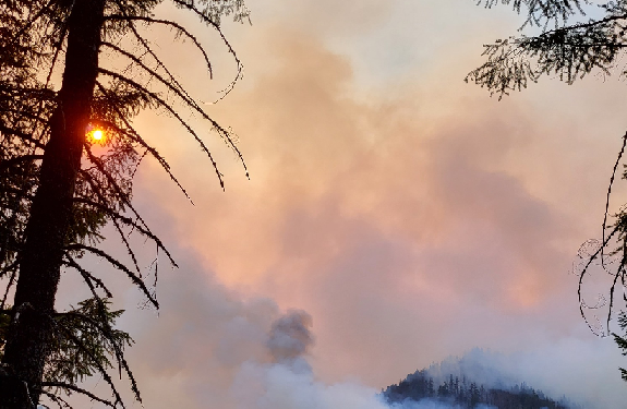 Willamette Valley News, Monday 8/28 – Weather and Wildfire Updates ...