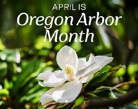 Celebrations Planned Statewide in April for Oregon Arbor Month ...